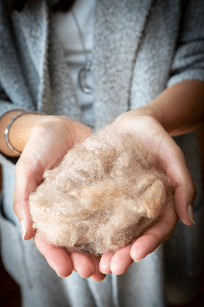 Alpaca Wool or Alpaca Fiber: Nature's Luxury at Your Fingertips - Andes Connection