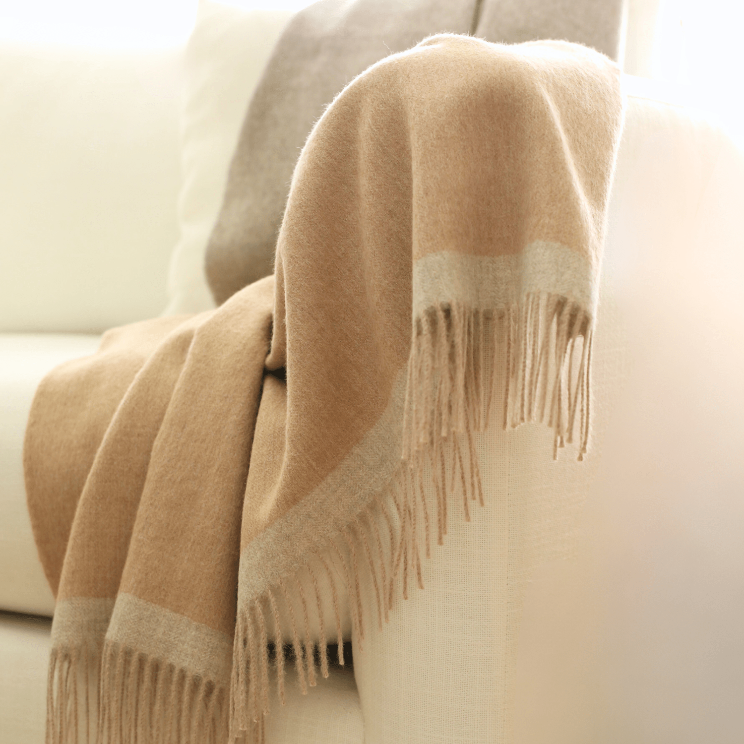 Today show alpaca blanket hotsell